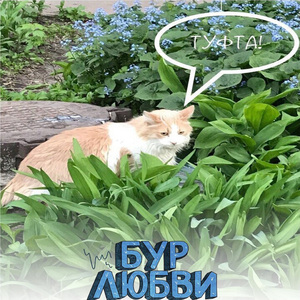 Прыжок Веры