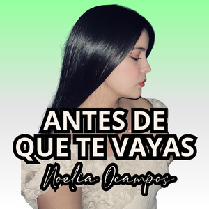 Antes de Que Te Vayas