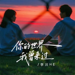 你的世界我曾来过