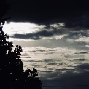 大鱼（念白版）