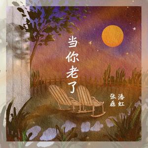 当你老了 (伴奏)
