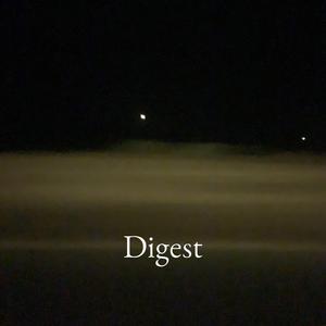 Digest (feat. Vika Tobi)