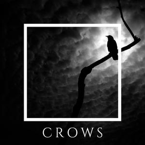 Crows