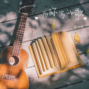 为你写的歌 伴奏
