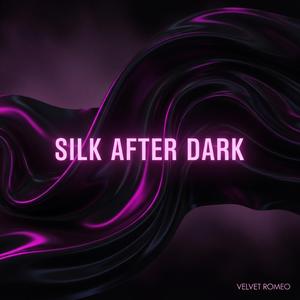 Moonlit Velvet Dance (Sexy Music)