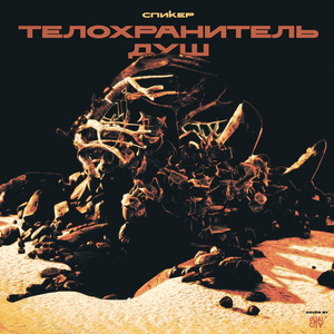 Телохранитель душ