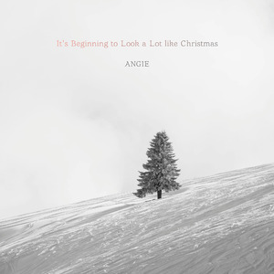 It's Beginning to Look a Lot like Christmas