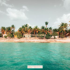 正在学习悦耳的轻音乐