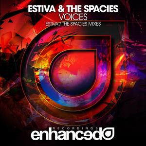Voices (Estiva Mix)