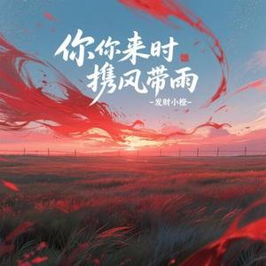 你来时携风带雨