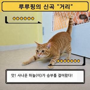 거리 (2026Ver.)
