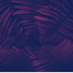 一尘不染在家休息印象数