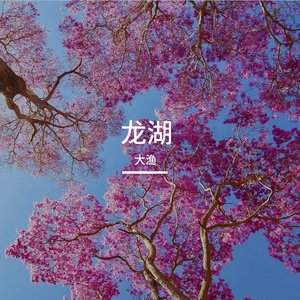 龙湖