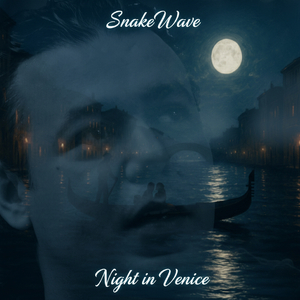 Night in Venice