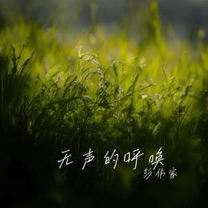 无声的呼唤