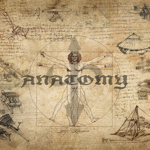 Anatomy