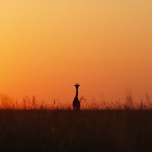 Rainy Day Soul Reflect