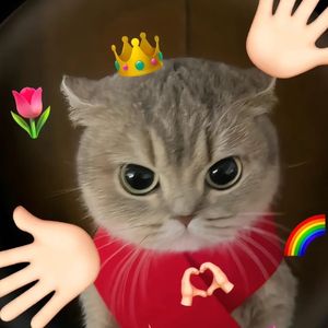 精神内猫freestyle prod.xvn