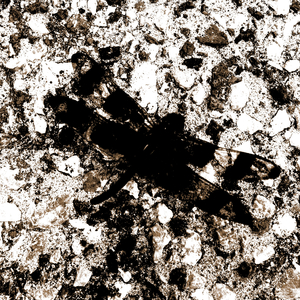 Reform 0, Retribution 50, Denial 100