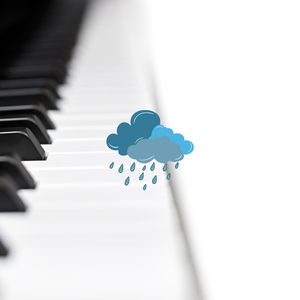 石楠玫瑰(钢琴微调)