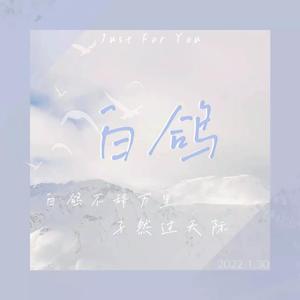 网易云版_无鼓伴奏