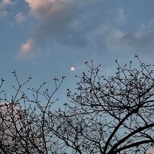 第一次做人（cover：太一