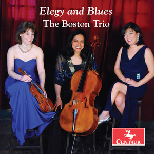 Piano Trio No. 1 in D Minor, Op. 32:III. Elegia