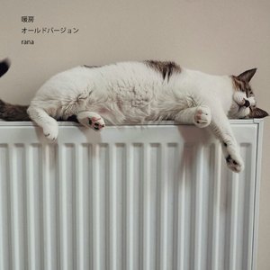 暖房 (old version)
