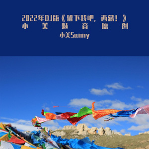 留下我吧, 西藏!（DJ版默涵wav）