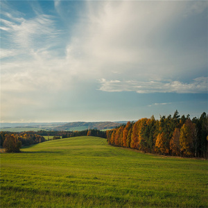 忘れられた約束