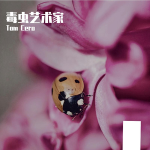 毒虫艺术家 伴奏