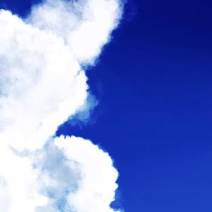 明けない夢に空を描く。 (feat. 猫のおなか)