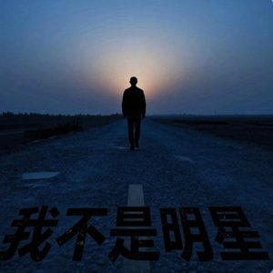 我不是明星