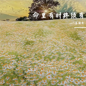 (命里有时终须有)__小鱼