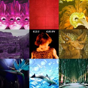 グラビアンナイト