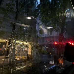 朦胧的你（Black Sheep)