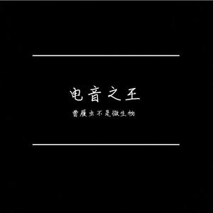 电音之魅