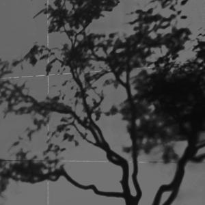 如此（Prod By LilSiren）