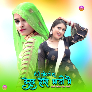 तेरी चोटने सू देरद होरो भाड़ी मै