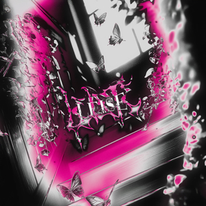 Leise