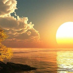 你是我的北极星