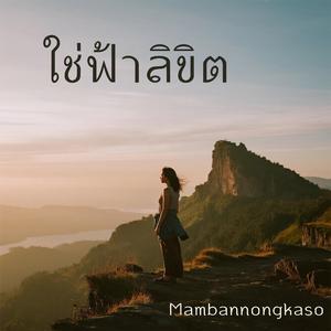 ใช่ฟ้าลิขิต