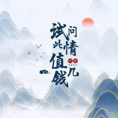 试问此情值几钱 (DJheap九天版)