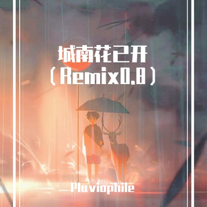 城南花已开（remix0.8）
