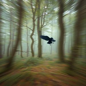 self-less-ness (feat. Ram Dass)