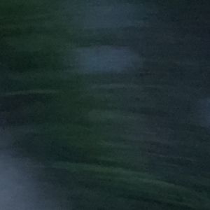 感谢你曾经来过