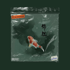“锦鲤”丨Chinese Type Boombap Beat