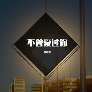 不曾爱过你