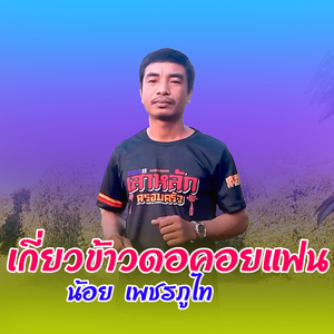 ดกี่ยวข้าวดอคอยแฟน