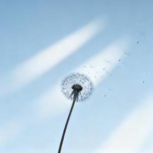 他要是真的爱你 (Cover 无中生乐)